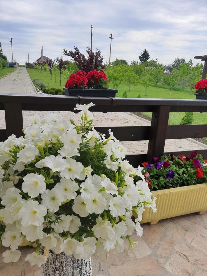 Dor De Casa Hotel Doljesti Екстериор снимка