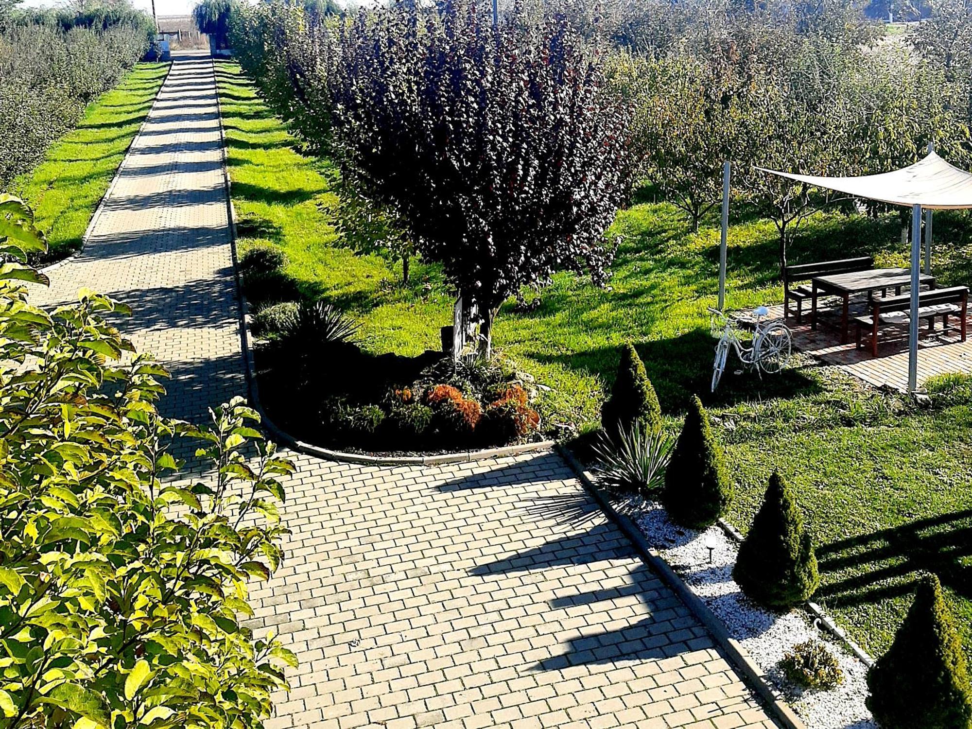 Dor De Casa Hotel Doljesti Екстериор снимка