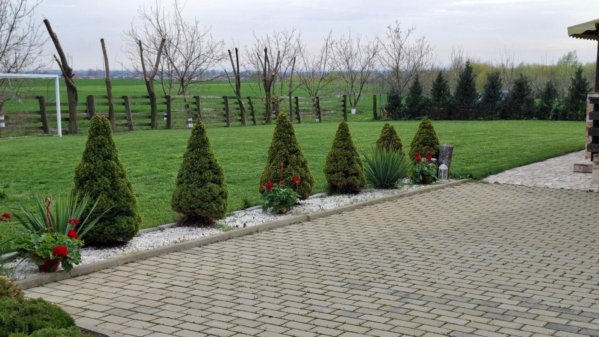 Dor De Casa Hotel Doljesti Екстериор снимка