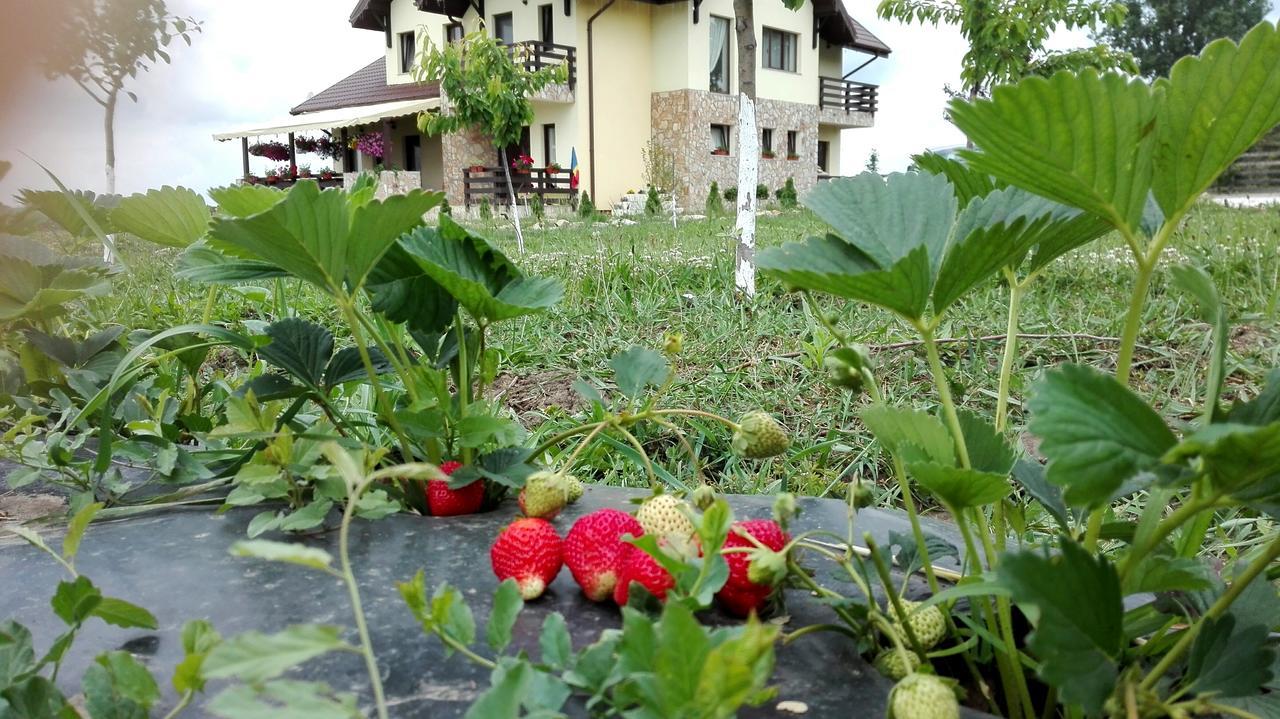 Dor De Casa Hotel Doljesti Екстериор снимка